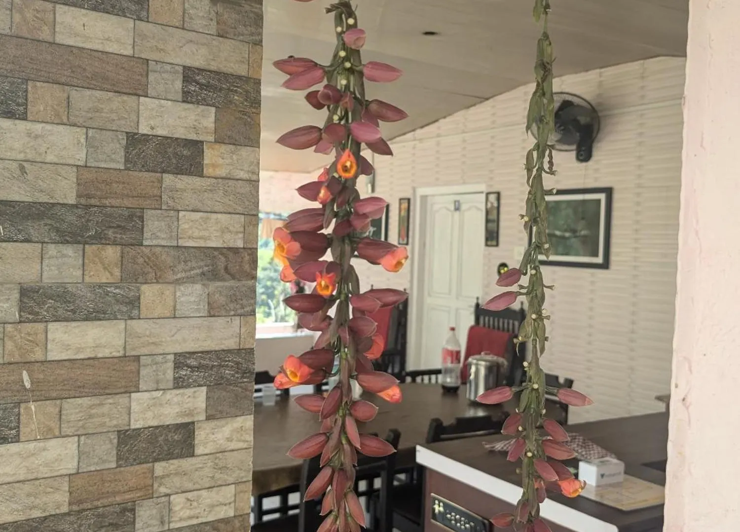 Olive Garden Homestay By The Jungle Stay Groups Parambikolam 0*,  Hindistan